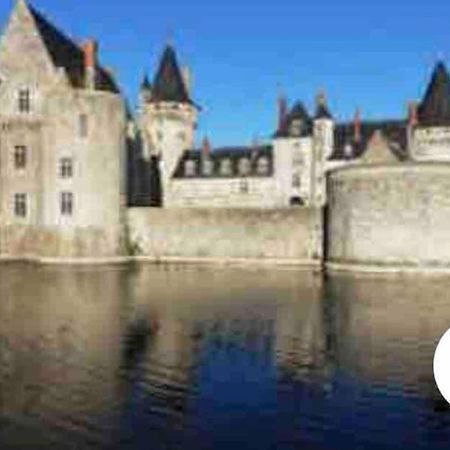 Chalet La Perche Au Bord De L'Eau Lion-en-Sullias ภายนอก รูปภาพ